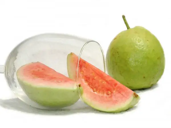 Was sind die Eigenschaften von Guave?