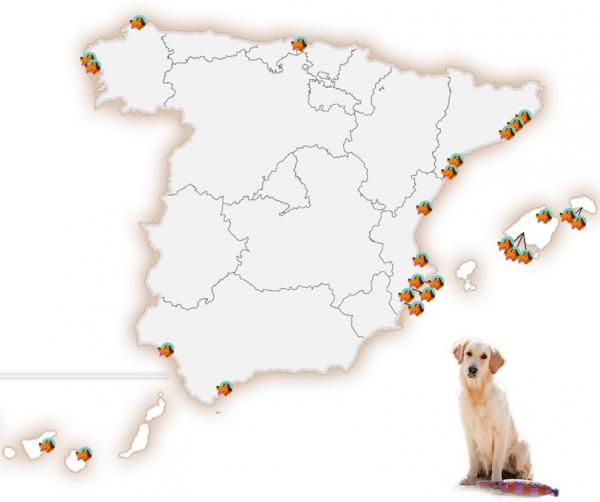 Strände mit Hunden in Spanien