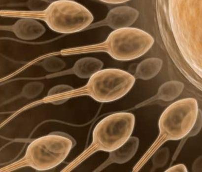 Wie man die Menge an Sperma erhöht