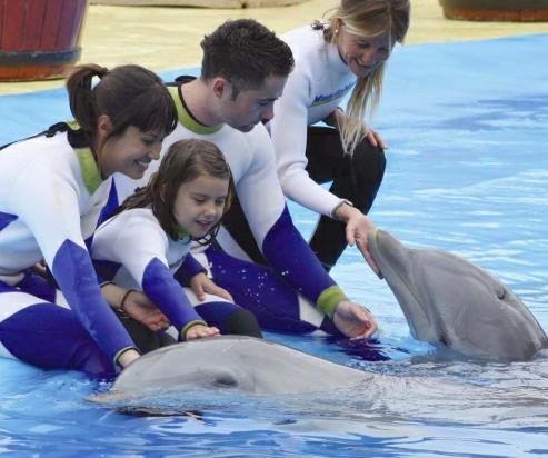 Wie man mit Delfinen in Spanien badet
