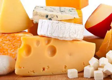 Wie man Käse konserviert