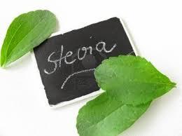 Wie man Stevia anbaut