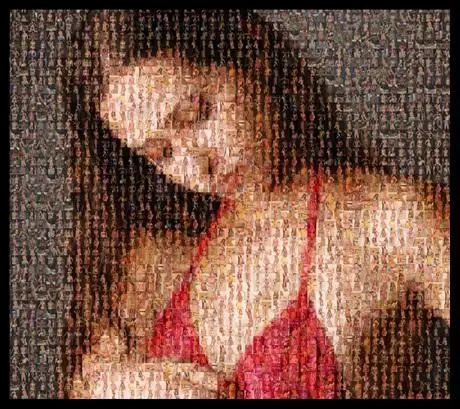 Wie man Mosaiken mit Online-Fotos macht