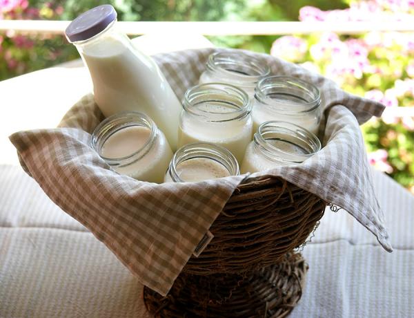 Wie man selbst gemachten Sojabohnenöljoghurt macht