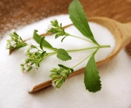 Wie man Zucker durch Stevia ersetzt