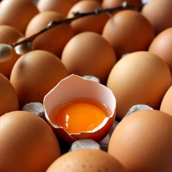 Wie man weiß, ob ein Ei verfault ist
