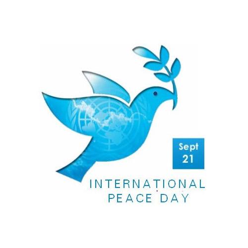 Wie wird der Internationale Tag des Friedens gefeiert?