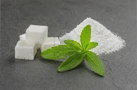 Wie man Stevia Blätter trocknet