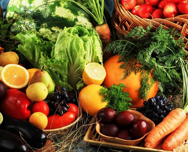 Was ist der Unterschied zwischen Nahrung und Nährstoff?