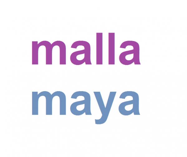Was ist der Unterschied zwischen Mesh und Maya?
