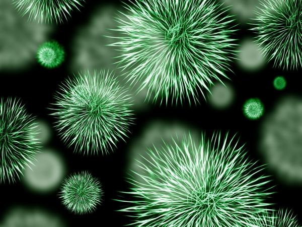 Was sind die Vorteile von Bakterien für die Gesundheit?