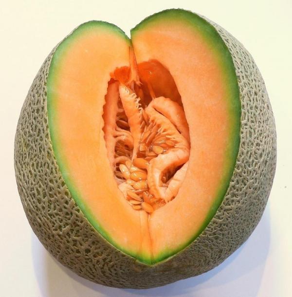 Was sind die Vorteile von Melone?