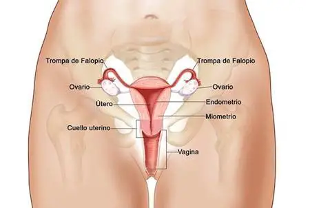 Was sind die Symptome von Gebärmutterhalskrebs?