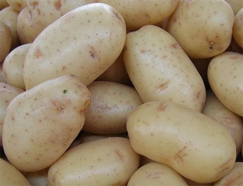Wann Kartoffeln anpflanzen – einwie.com