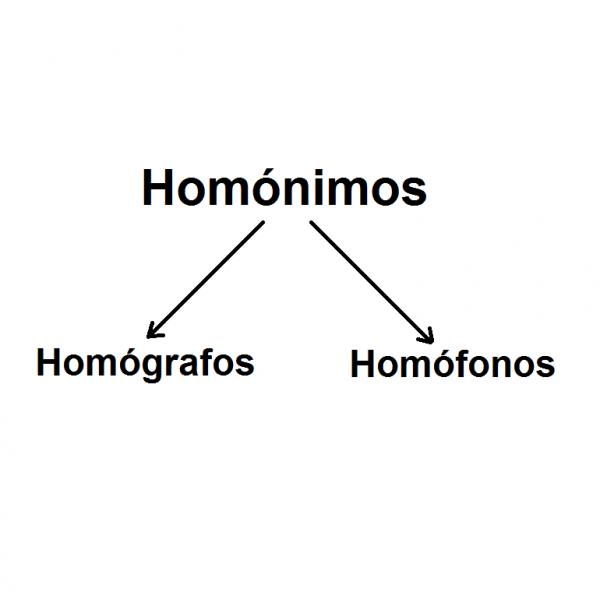 Unterschiede zwischen Homonymen, Homographen und Homophonen