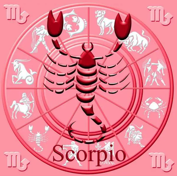 Wie der Skorpion ist