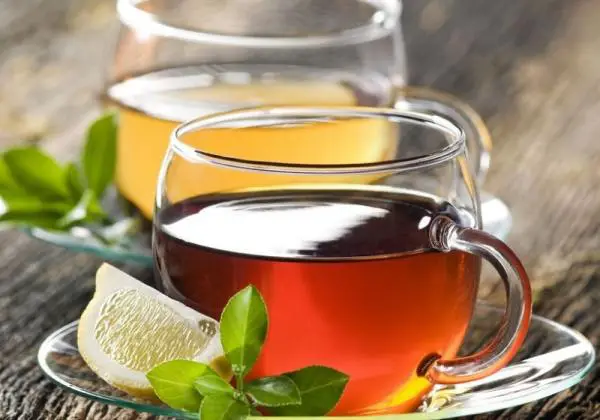 Was ist der Unterschied zwischen Tee und Infusion?