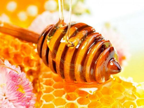 Was sind die medizinischen Eigenschaften von Honig?