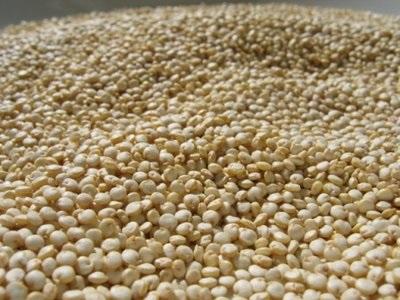 Was sind die Vorteile von Quinoa?