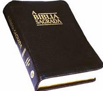 Wie man die Bibel sucht