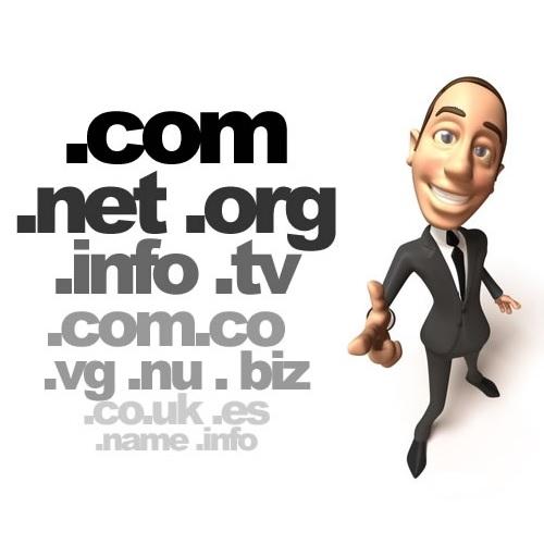 So erfahren Sie, welche Domains eine Person im Internet registriert hat