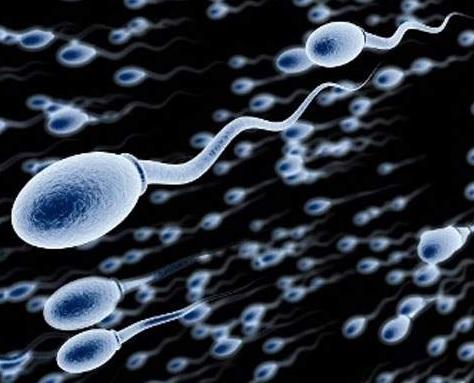 Wie kann ich wissen, ob ich auf Sperma allergisch bin?