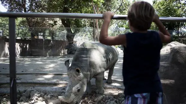 Welche Zoos in Spanien zu besuchen