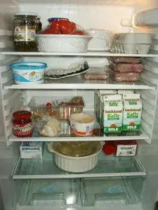 Wie wähle ich einen Kühlschrank aus?