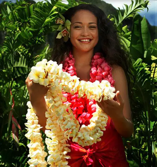 Wie man ein Hawaii-Kostüm macht