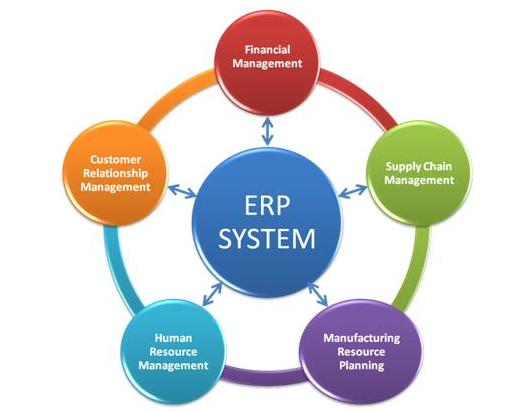 Auswahl von ERP-Software - Analyse und Anforderungen