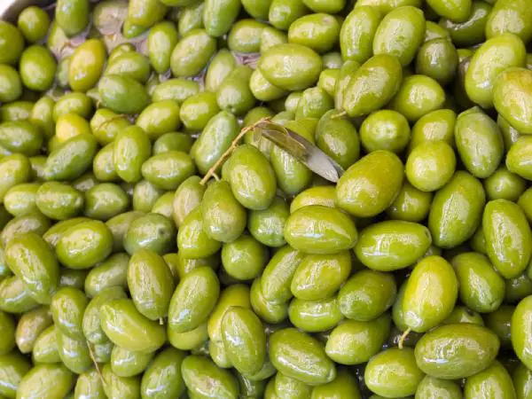 Wie man Oliven in Salzlake macht