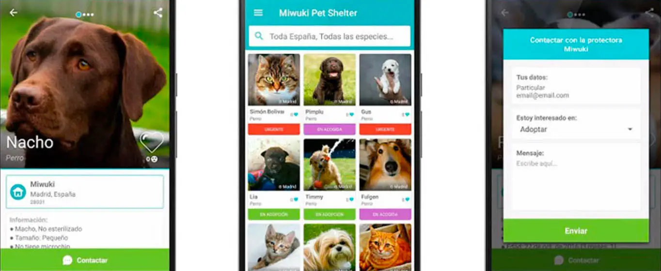 Anwendung übernehmen Android Tiere