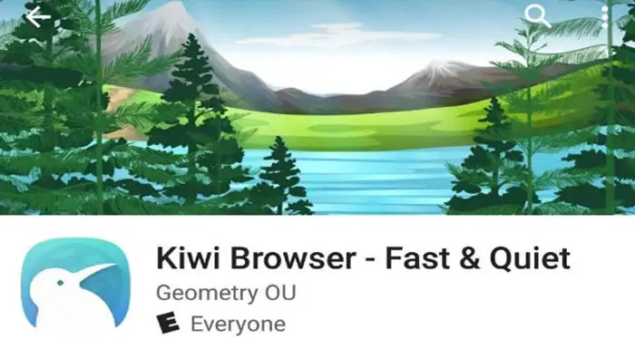 Kiwi-Browser kennenlernen