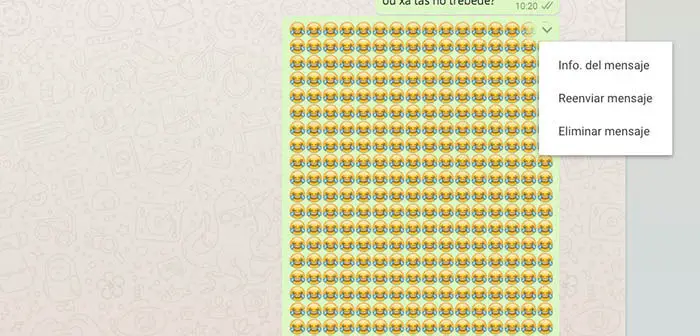 Löschen Sie eine Nachricht, die WhatsApp blockiert, ohne die Konversation zu löschen