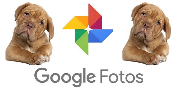 Google Fotos