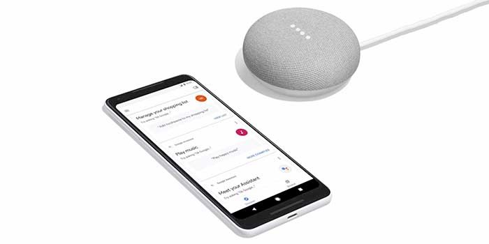 Google Home Mini App