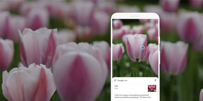 Google Lens cosas que se pueden hacer