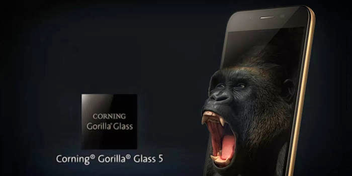 Gorillaglas 5