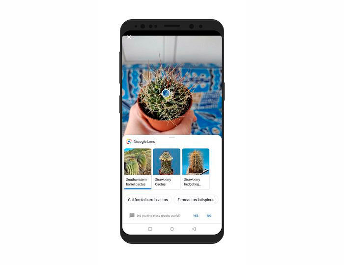 Identifizieren Sie Pflanzen und Tiere Google Lens