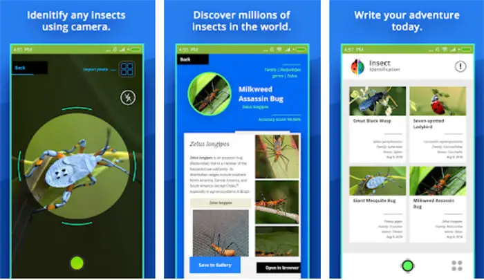 Insektenidentifikation für Android