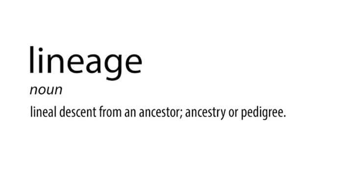 lineage