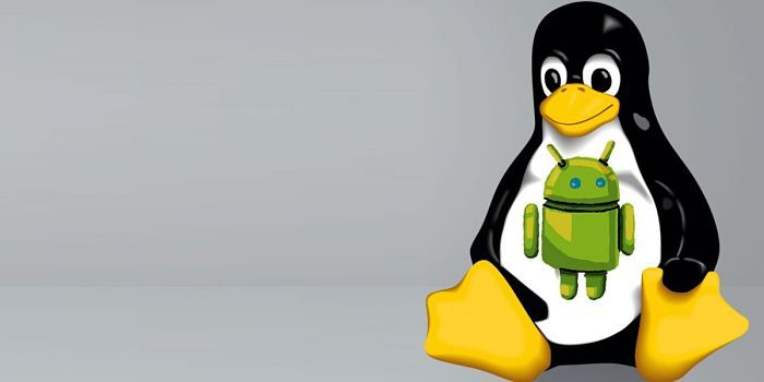 Linux en Android