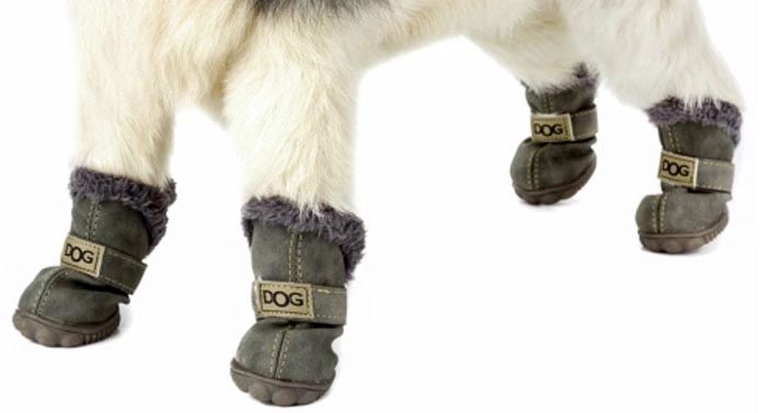 Hundebooties