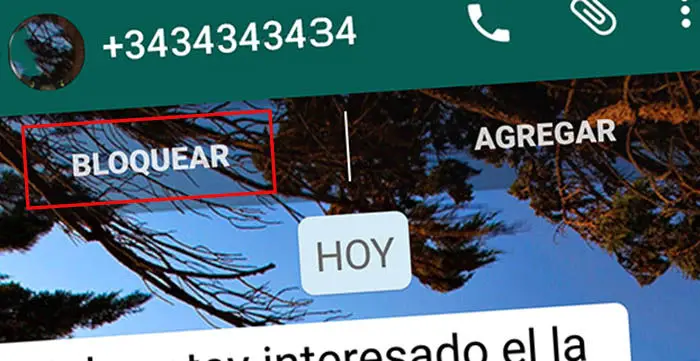 Saber si me han bloqueado en WhatsApp