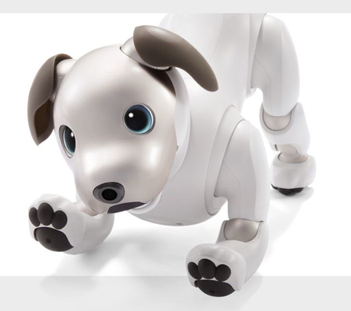 Sony Aibo Roboterhund