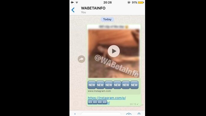 Instagram Video auf WhatsApp