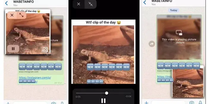 Vídeos de Instagram y Facebook desde WhatsApp