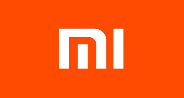 Xiaomi Heizung