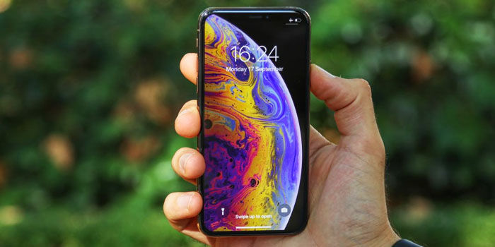 apple demandada iphones notch