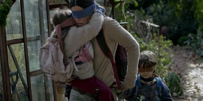 bird box